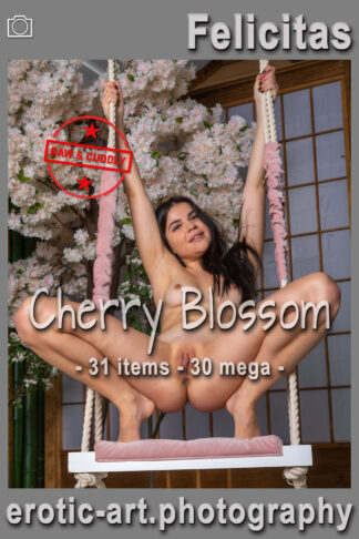 Felicitas, First Shot, 31 items, 30 mega, eARTfoto, the art of Jay Gee