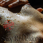 Anna Bambi Joli, Sexy Reflexions, xxx items, 22 mega, eARTfoto, the art of Jay Gee