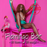 Naomi, Flamingo Bar, 55 items, 30 mega, eARTfoto, the art of Jay Gee