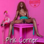 Naomi, Pink Corner, 40 items, 30 mega, eARTfoto, the art of Jay Gee
