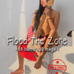 Arabella, Flood The Zone, 58 items, 30 mega, eARTfoto, the art of Jay Gee