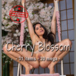 Felicitas, First Shot, 31 items, 30 mega, eARTfoto, the art of Jay Gee