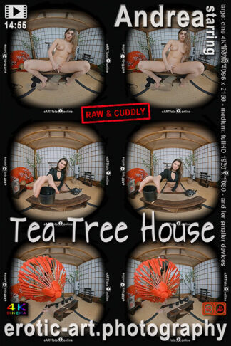 Andrea, Tea Tree House, 14min55, cinema4Kmovie, eARTfoto VR, the art of Jay Gee